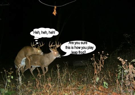 Deer Hunting Quotes Humor Quotesgram