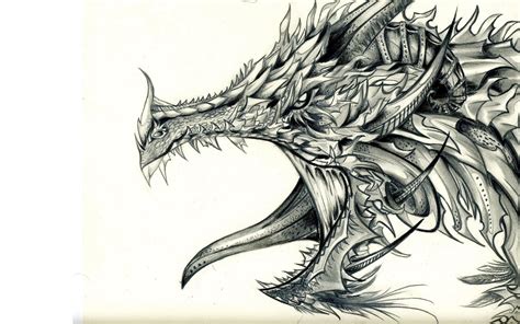 For the body, draw some details that will either make your dragon drawing cute, fierce or cool. Dragon Head Wallpaper (58+ images)