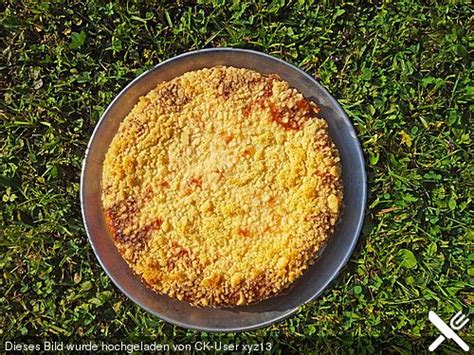 Apfelkuchen mit vanillecreme und streusel. Käsekuchen mit Apfelmus und Streuseln | Rezept | Apfelmus ...