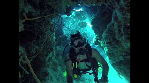 Scuba Diving Cozumel Mexico Youtube