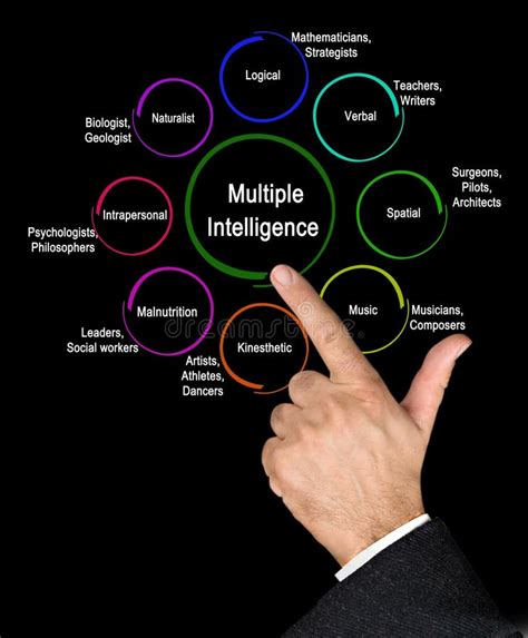 Types Of Multiple Intelligence Stock Image Image Of Eight