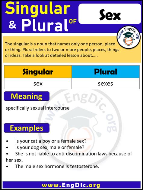Sex Plural What Is The Plural Of Sex Engdic