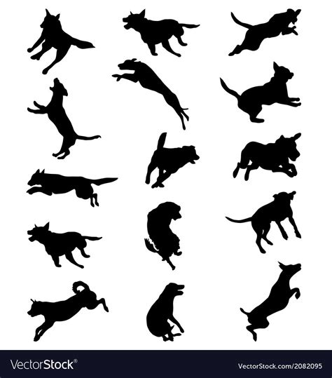 Dogs Jumping Royalty Free Vector Image Vectorstock