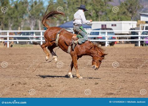 Bucking Bronco Horse At Country Rodeo Stock Photo Image Of Equine
