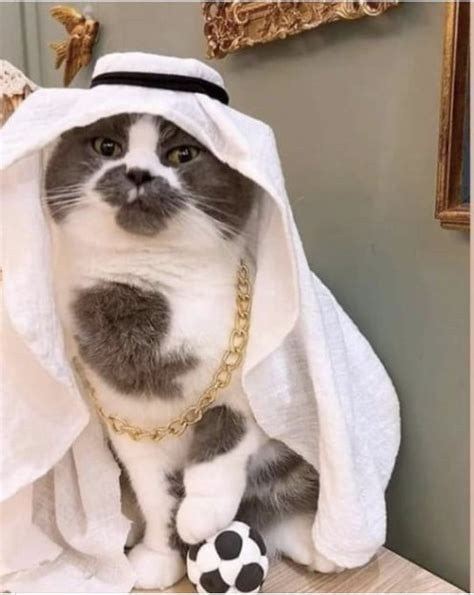 Islamicat 💣😾🕌 💥 On Twitter Is We All Enjoying The Fifaworldcup In