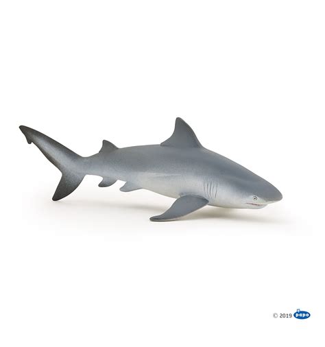 In current times many aquariums demand the presence of the bull shark in their facilities since it is a species that adapts well to life in a closed environment and catches people's attention. Bull shark - Papo