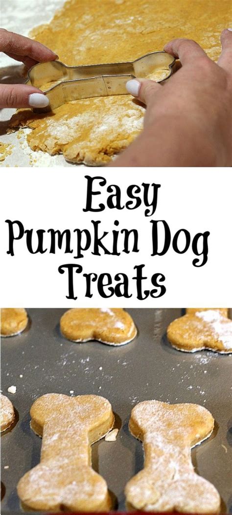 This Easy Pumpkin Dog Treat Recipe Is Perfect To Make For Your Dog