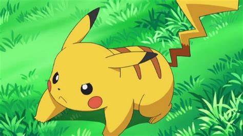 Some pokémon need training, to be put through battles and then some. Pokemon Sun and Moon Guide: Where to Find Pikachu | Attack of the Fanboy