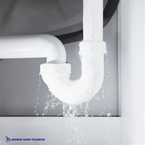 6 Major Signs You Have A Burst Pipe Andrew Vanny Plumbing