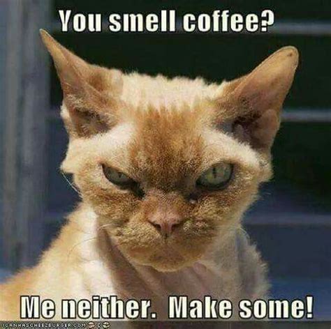 5.1 kindness is like coffee, it awakens your spirit and improves your day. 40+ Funny Good morning Coffee Meme Images - Freshmorningquotes