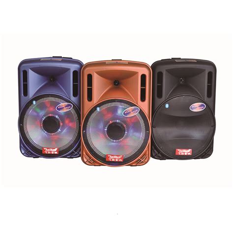China Feiyang Temeisheng 12inch Rechargeable Battery Speakers With Professional Amplifier Price