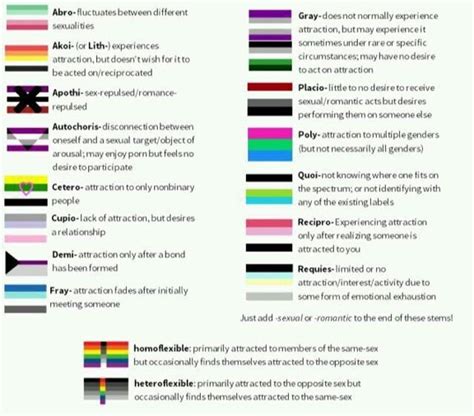🏳️‍🌈all About Sexualities Explanationsflags Lgbt Amino
