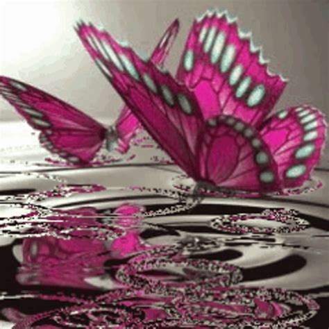 Butterflies On Water Live Wallpaper Appstore