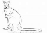Wallaby sketch template