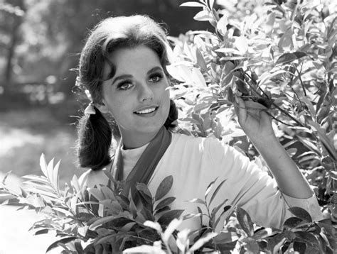 Dawn Wells As Mary Ann From Gilligans Island Leaves For Her Heavenly