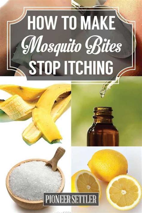 Bugbitesessentialoils Remedies For Mosquito Bites Natural Home