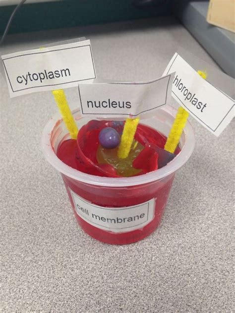 Cake, cookies, 3d, pizza & how to make it. 15 best Science images on Pinterest | Graphic organizers ...