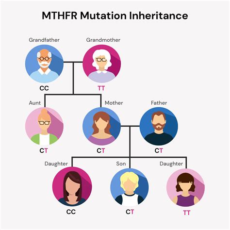 What Is The Best Multivitamin For MTHFR Mutation