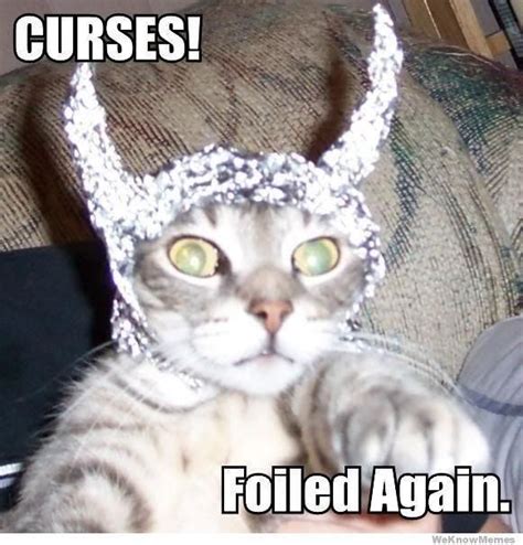 Foiled Funny Animals Tin Foil Hat Animals