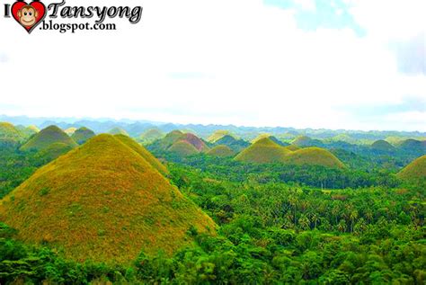 “chocolate Hills” In Carmen Bohol Melts After The 72 Magnitude