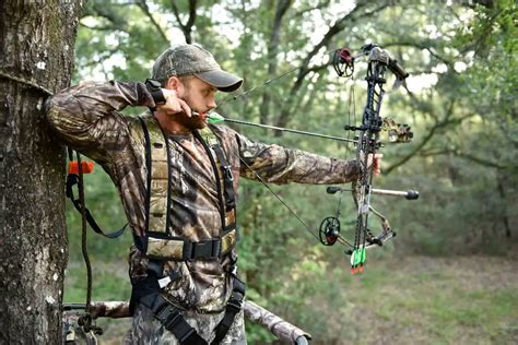 Bowhunting Tips Tricks And Strategies Divinioworld