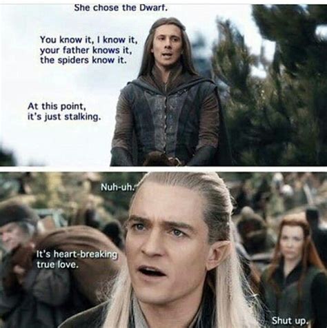 The Hobbit Memes The Hobbit Lotr Funny Lotr