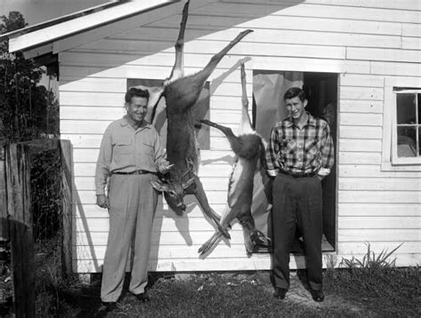Florida Memory Unidentified Deer Hunters With Their Game