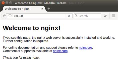 Docker Nginx Dockerize Nginx With Web Application
