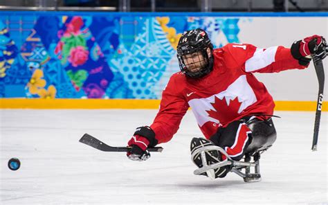 Ice hockey, game between two teams, each usually having six players, who wear skates and compete on an ice rink. Para ice hockey | Paralympic Team Belgium