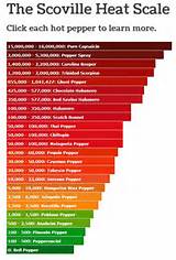 Heat Index Scale Images