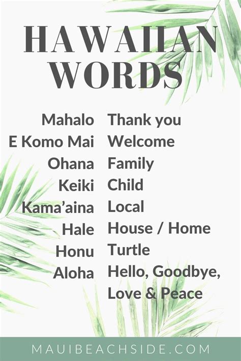 Common Hawaiian Words Maui Vacation Rentals Hawaii Travel Maui Travel