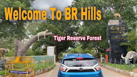 Br Hills Biligirirangana Betta Tiger Reserve Forest K Gudi