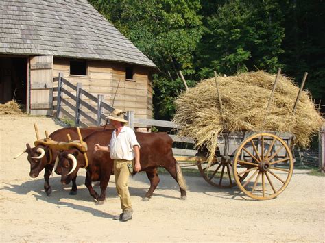 Farmer · George Washingtons Mount Vernon