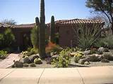 Pictures of Backyard Landscaping In Arizona