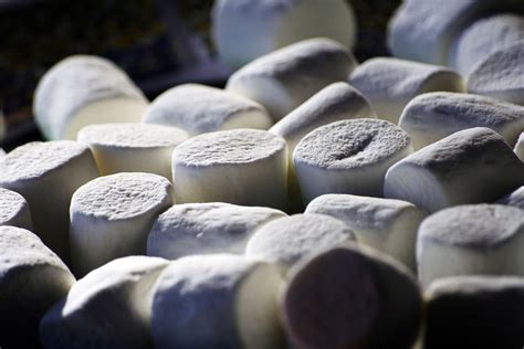 Do you know what is the fastest way to become popular? Marshmallow - Wikipedia