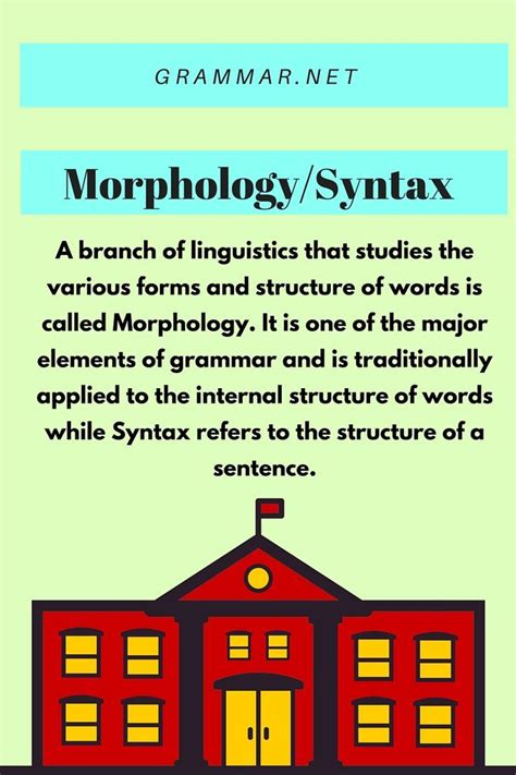 Morphology And Syntax A Branch Of Linguistics That Studies The Various