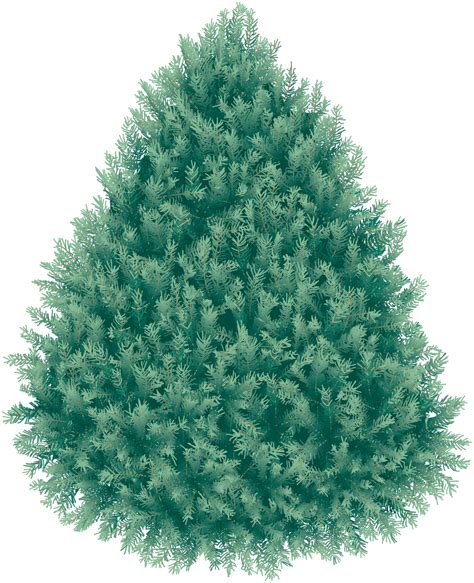 Polish your personal project or design with these christmas tree transparent png images, make it even more. Library of cypress tree clipart free library png files ...