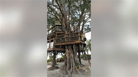 florida couple s getaway treehouse must come down after supreme court declines to hear case