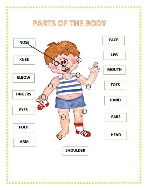 Parts Of The Body Exercises For Adults Pdf Exercise Poster
