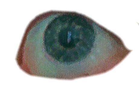 Eyes Png Image Dreamcore Weirdcore Png Images Png My XXX Hot Girl