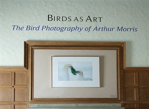 Wonderful And Rewarding Stuff Arthur Morrisbirds As Art