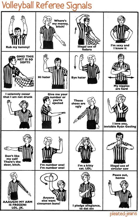 Volleyball Referee Signals