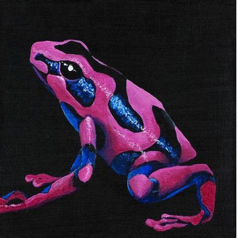 Psychedelic Poison Dart Odessa Kelly — Patternity Amazing Frog