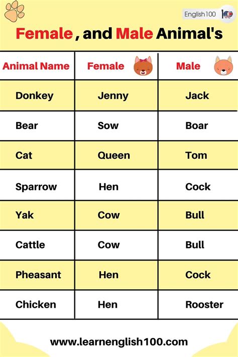 Female And Male Animals Names In English English 100