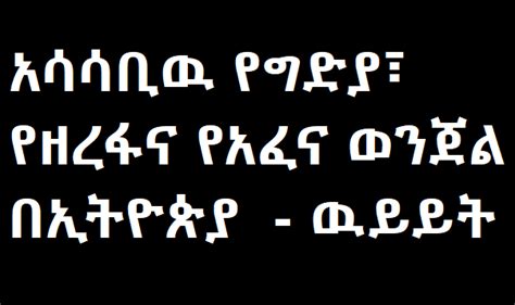 አሳሳቢዉ የግድያ፣ የዘረፋና የአፈና ወንጀል በኢትዮጵያ ዉይይት Ethiopian