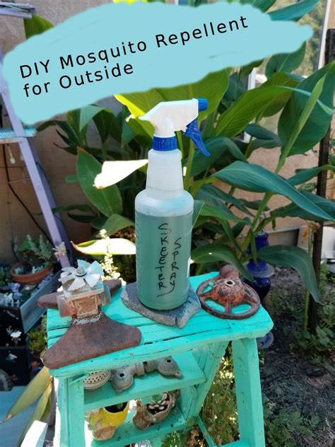 Keeping bugs away with a good mosquito repellent is a top priority, especially with small children who are prone to scratching mosquito bites. Homemade Mosquito Repellent Recipe With Mouthwash ...