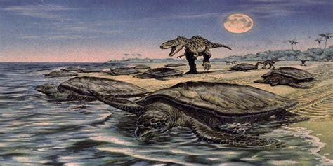 Archelon The Largest Prehistoric Marine Turtle Being Predated By