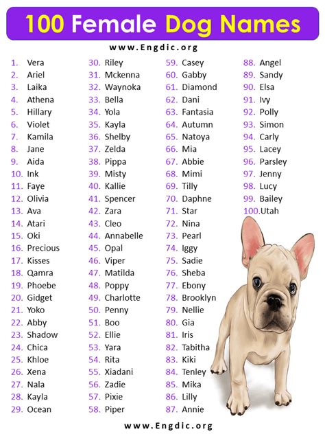 Top 122 Animal Girl Dog Names