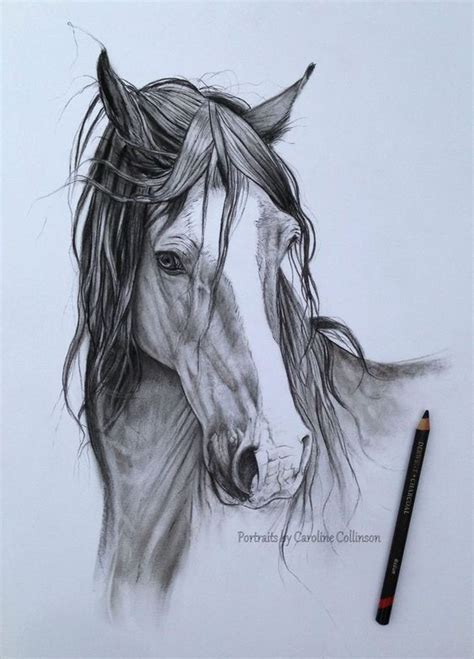 Introduzir Imagem Desenhos Realistas De Cavalos Br Thptnganamst Edu Vn