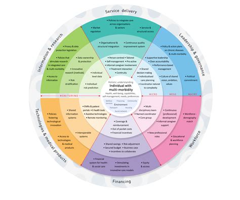 The framework will be built into a sentence based on this template: SELFIE Framework for Integrated Care for Multi-Morbidity ...